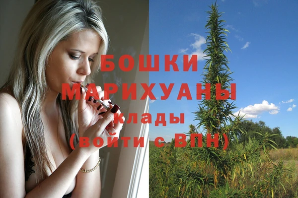 молекула духа Костерёво