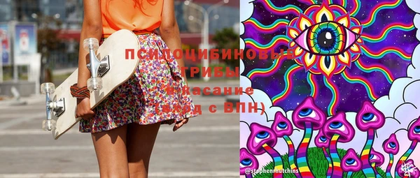 дмт Козельск