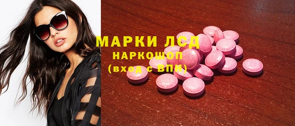 спайс Корсаков