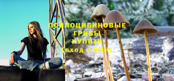 молекула духа Костерёво