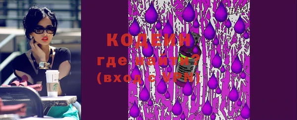 дмт Козельск