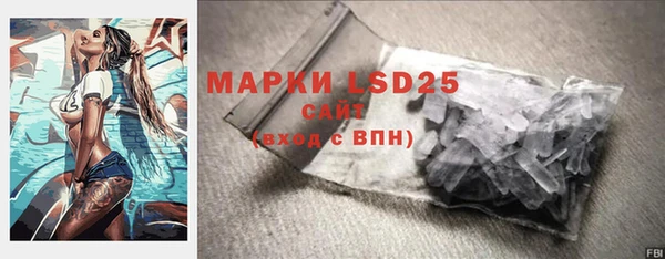 дмт Козельск